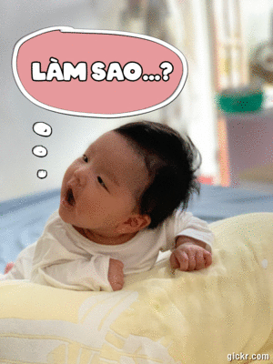 Animated GIF made with Gickr