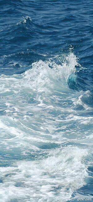 Animated GIF made with Gickr