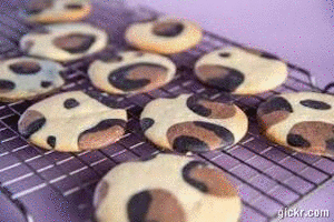 Animated GIF made with Gickr