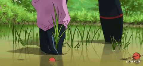 Animated GIF made with Gickr