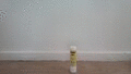 Animated GIF made with Gickr