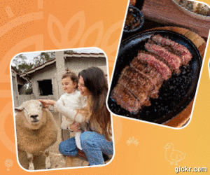 Animated GIF made with Gickr