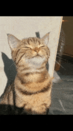 Animated GIF made with Gickr