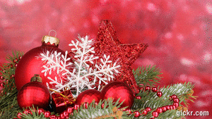 Animated GIF made with Gickr