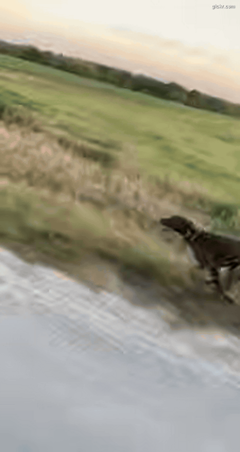Animated GIF made with Gickr
