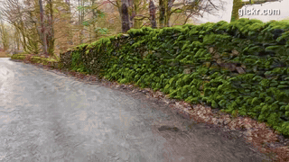 Animated GIF made with Gickr