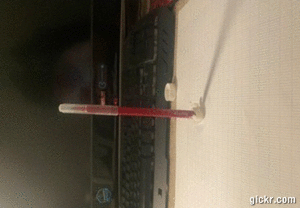 Animated GIF made with Gickr