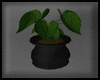 Animated GIF made with Gickr