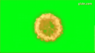 Animated GIF made with Gickr