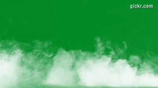 Animated GIF made with Gickr