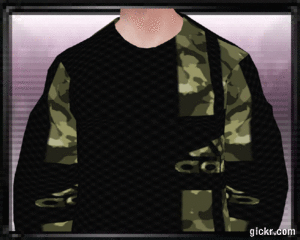 Animated GIF made with Gickr