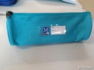 Animated GIF made with Gickr