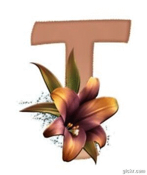 Animated GIF made with Gickr