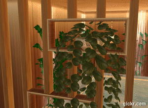 Animated GIF made with Gickr