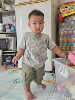 Animated GIF made with Gickr