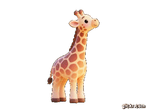 Animated GIF made with Gickr