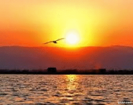 Animated GIF made with Gickr