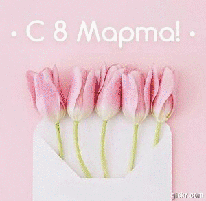 Animated GIF made with Gickr