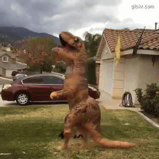 Animated GIF made with Gickr
