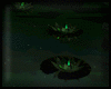 Animated GIF made with Gickr