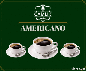Animated GIF made with Gickr