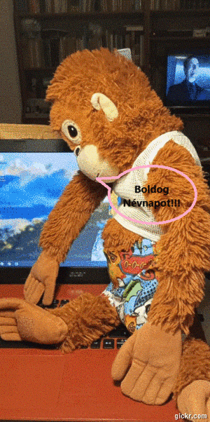 Animated GIF made with Gickr