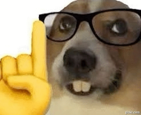 Animated GIF made with Gickr