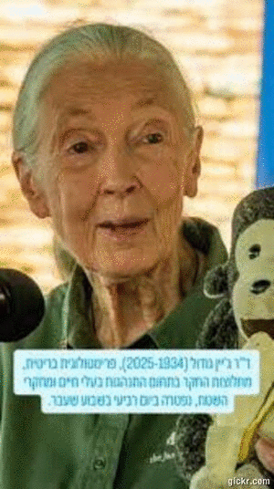 Animated GIF made with Gickr