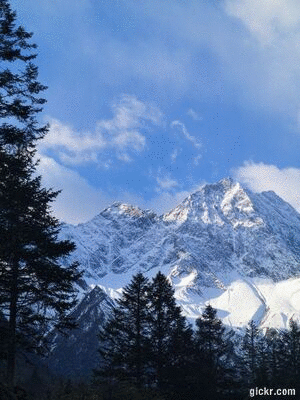 Animated GIF made with Gickr