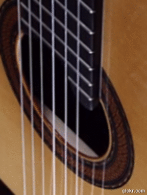Animated GIF made with Gickr