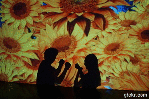 Animated GIF made with Gickr