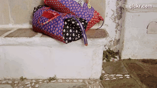 Animated GIF made with Gickr