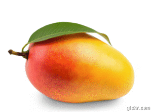 Animated GIF made with Gickr