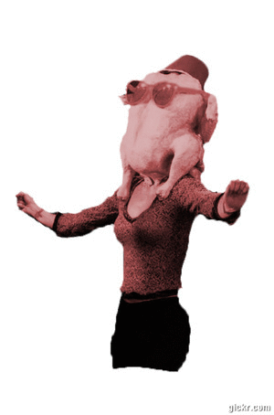 Animated GIF made with Gickr