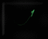 Animated GIF made with Gickr