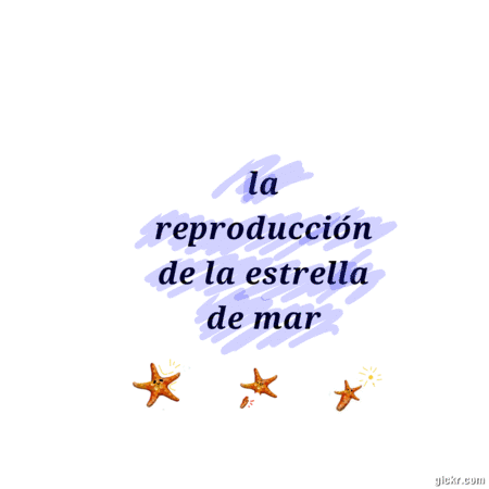 Animated GIF made with Gickr