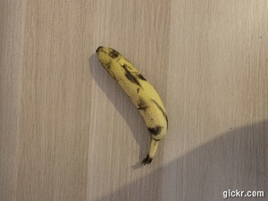 Animated GIF made with Gickr
