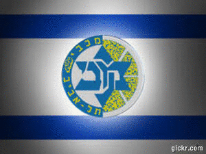 Animated GIF made with Gickr