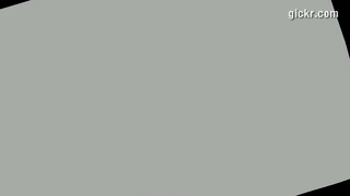 Animated GIF made with Gickr