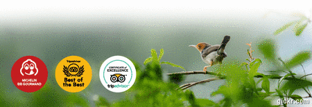Animated GIF made with Gickr