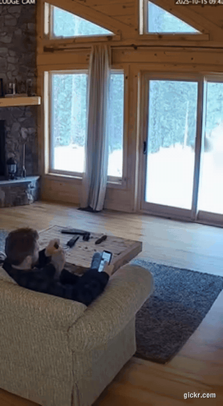 Animated GIF made with Gickr
