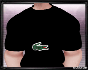 Animated GIF made with Gickr