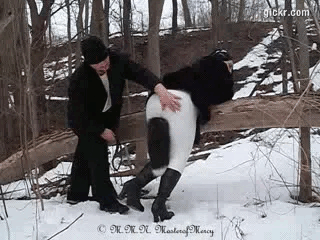 Animated GIF made with Gickr