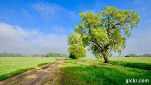 Animated GIF made with Gickr