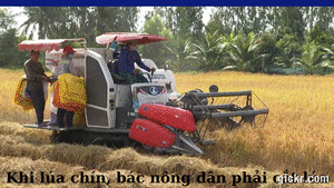 Animated GIF made with Gickr