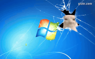 Animated GIF made with Gickr
