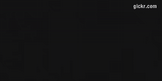 Animated GIF made with Gickr