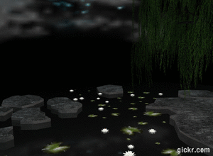 Animated GIF made with Gickr