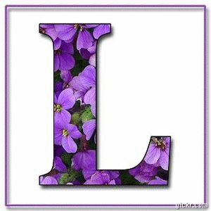Animated GIF made with Gickr