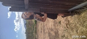 Animated GIF made with Gickr